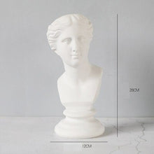 Load image into Gallery viewer, Roman Head Planters
