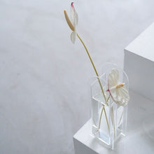 Load image into Gallery viewer, acrylic vases
