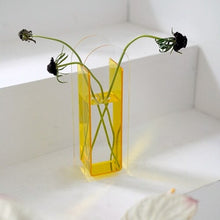 Load image into Gallery viewer, acrylic vases
