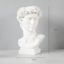 Load image into Gallery viewer, Roman Head Planters
