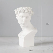 Load image into Gallery viewer, Roman Head Planters
