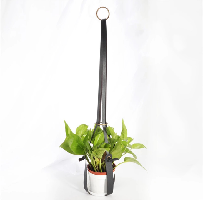 Strap Plant Hanger