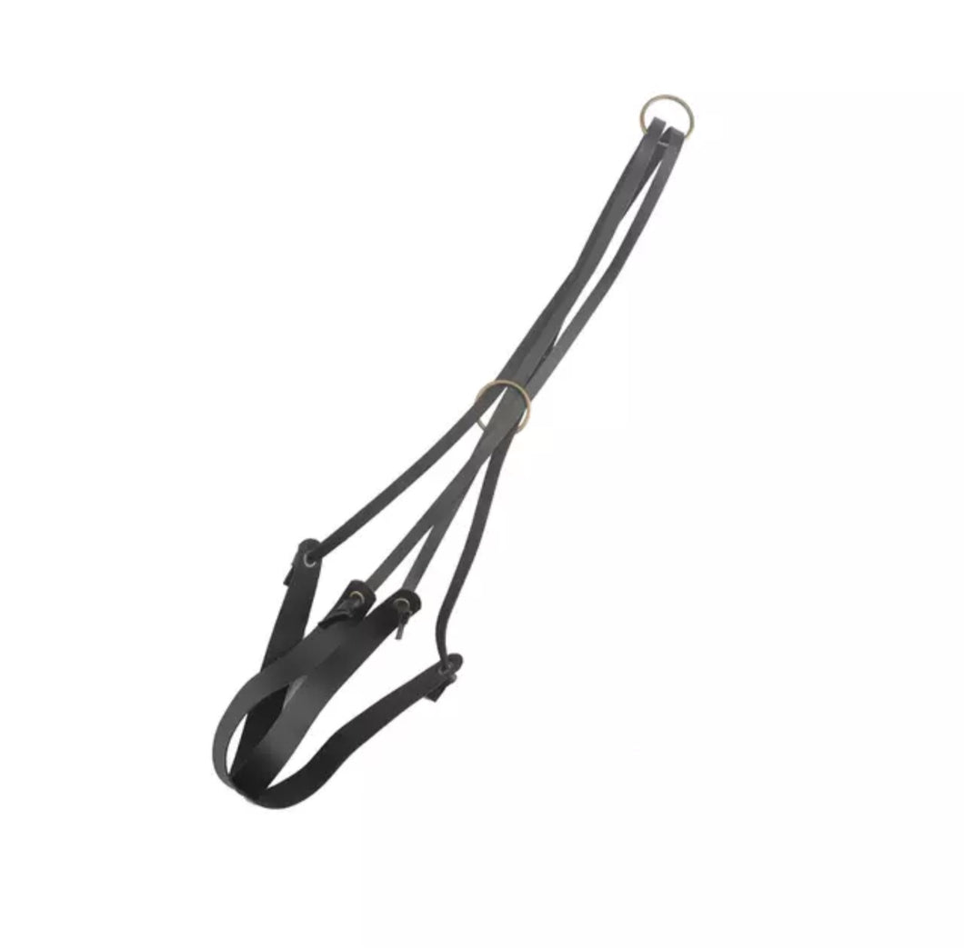 Strap Plant Hanger
